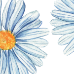 motifs fleurs 2a